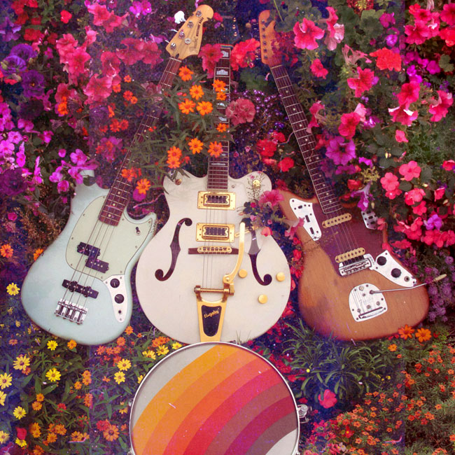 cocoons